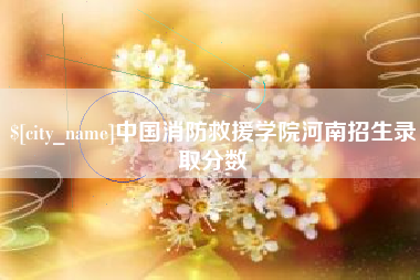 锦州中国消防救援学院河南招生录取分数