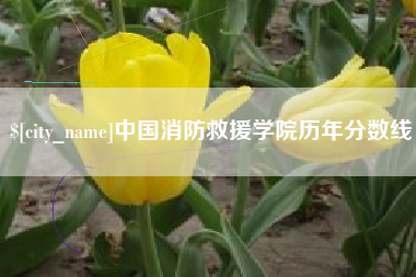 锦州中国消防救援学院历年分数线