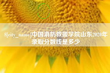 锦州中国消防救援学院山东2020年录取分数线是多少