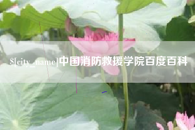 锦州中国消防救援学院百度百科