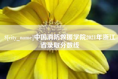 锦州中国消防救援学院2021年浙江省录取分数线