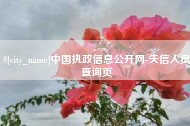 锦州中国执政信息公开网-失信人员查询页