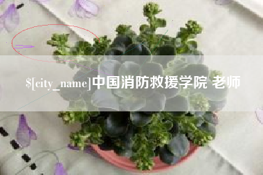 锦州中国消防救援学院 老师