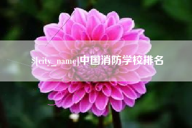 锦州中国消防学校排名