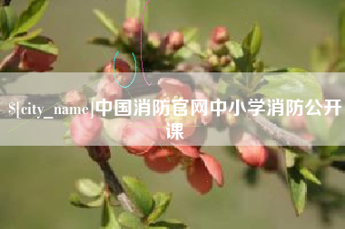 锦州中国消防官网中小学消防公开课