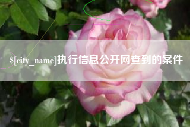 锦州执行信息公开网查到的案件