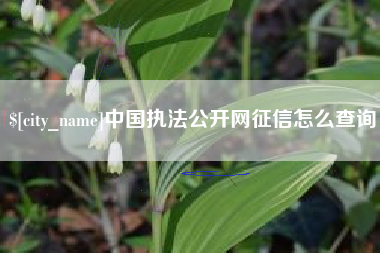 锦州中国执法公开网征信怎么查询