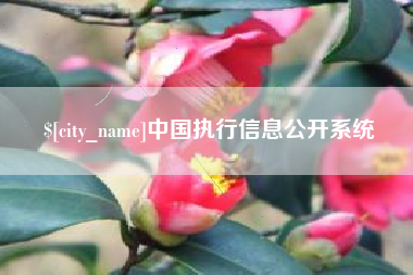 锦州中国执行信息公开系统