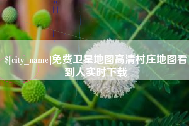 锦州免费卫星地图高清村庄地图看到人实时下载