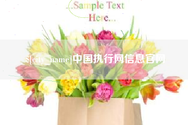 锦州中国执行网信息官网