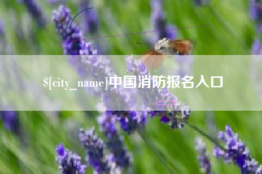 锦州中国消防报名入口