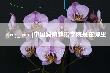 锦州中国消防救援学院是在哪里