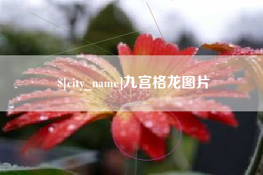 锦州九宫格龙图片