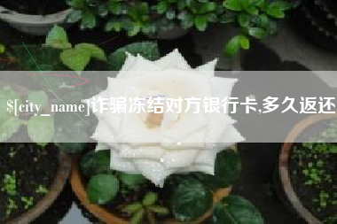 锦州诈骗冻结对方银行卡,多久返还
