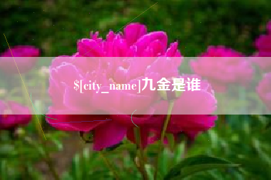 锦州九金是谁