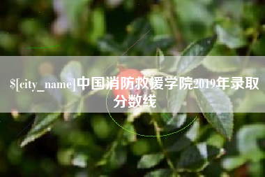 锦州中国消防救援学院2019年录取分数线