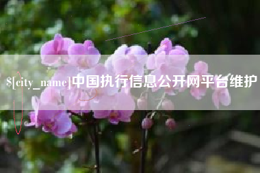 锦州中国执行信息公开网平台维护