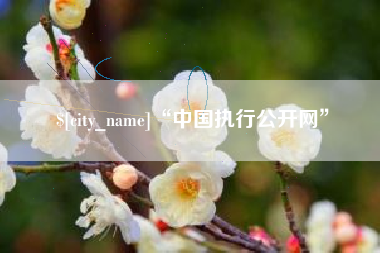 锦州“中国执行公开网”