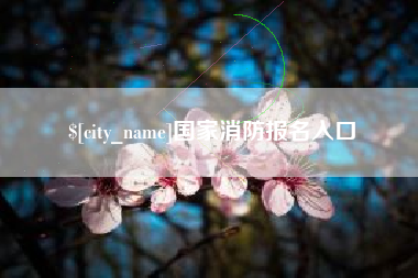 锦州国家消防报名入口