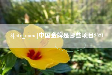 锦州中国金牌是哪些项目2021