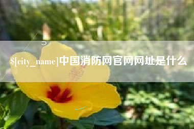 锦州中国消防网官网网址是什么