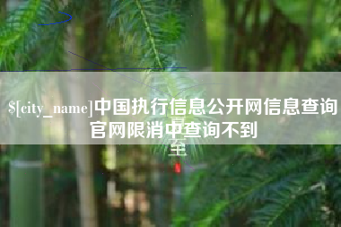 锦州中国执行信息公开网信息查询官网限消中查询不到