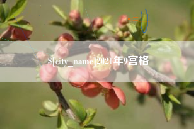 锦州2021年9宫格