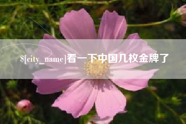 锦州看一下中国几枚金牌了