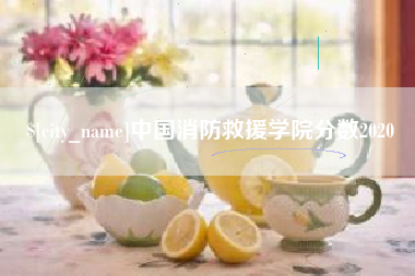 锦州中国消防救援学院分数2020