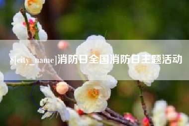 锦州消防日全国消防日主题活动