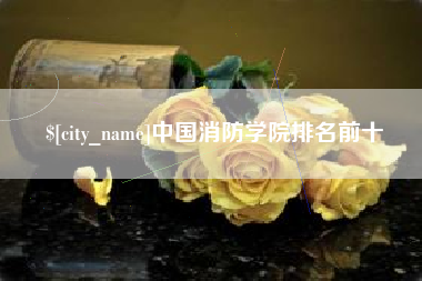 锦州中国消防学院排名前十