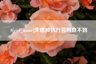 锦州失信被执行官网查不到