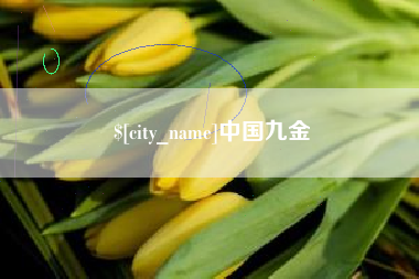 锦州中国九金
