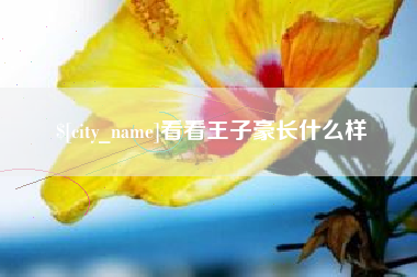 锦州看看王子豪长什么样