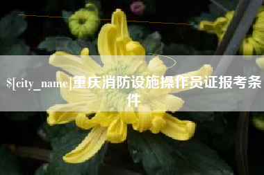 锦州重庆消防设施操作员证报考条件