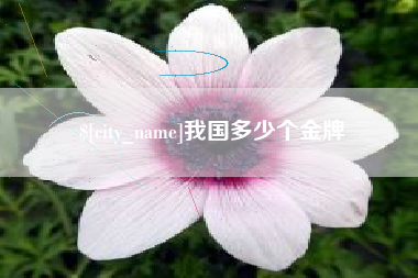 锦州我国多少个金牌