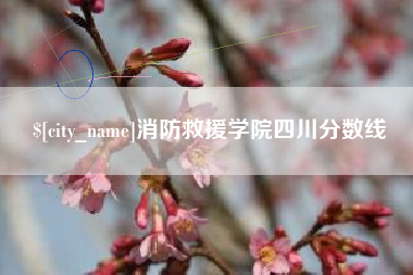 锦州消防救援学院四川分数线