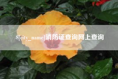 锦州消防证查询网上查询