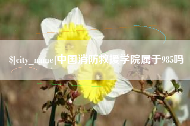 锦州中国消防救援学院属于985吗