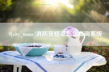 锦州消防资格证怎么查询系统