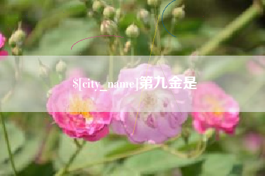 锦州第九金是
