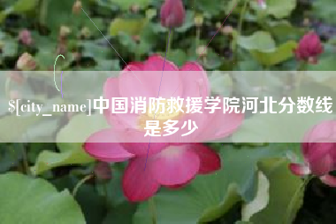 锦州中国消防救援学院河北分数线是多少