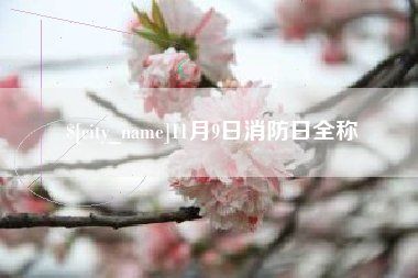 锦州11月9日消防日全称