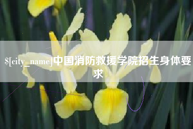 锦州中国消防救援学院招生身体要求