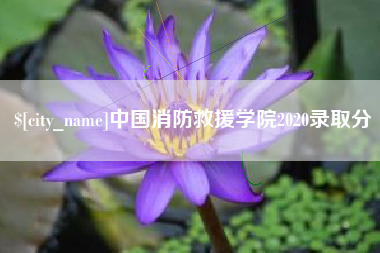 锦州中国消防救援学院2020录取分