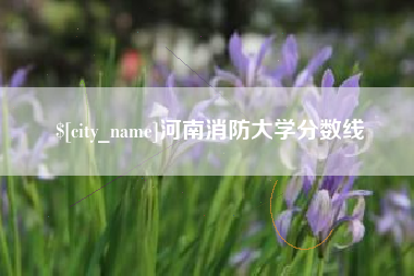 锦州河南消防大学分数线