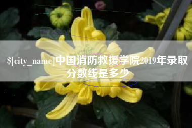 锦州中国消防救援学院2019年录取分数线是多少