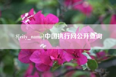 锦州中国执行网公开查询