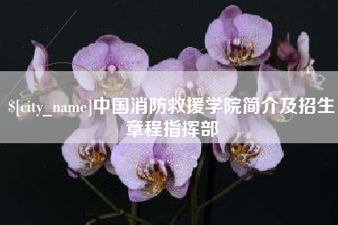 锦州中国消防救援学院简介及招生章程指挥部