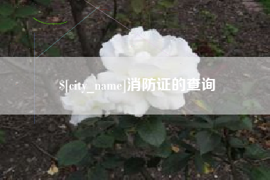 锦州消防证的查询